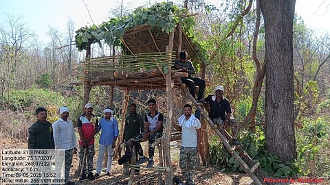 जळगाव