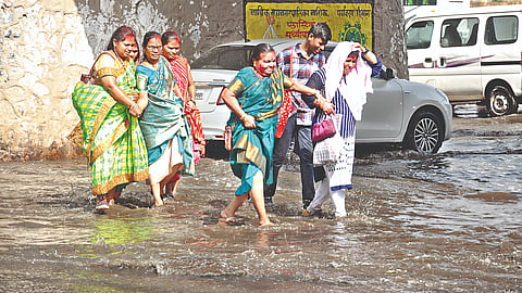 नाशिक 