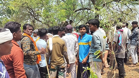 Chandrapur Tiger Attack