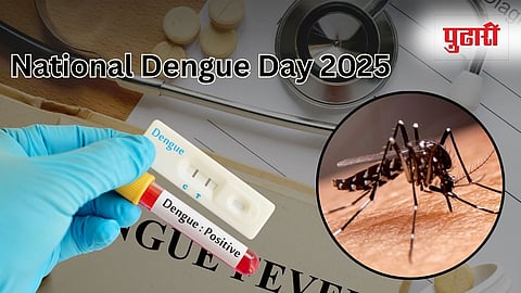 National Dengue Day 2025