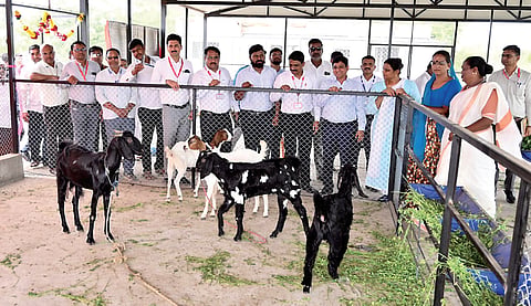 Ahilyanagar news