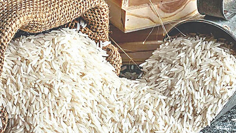 Nashik News |  Fragrant Performance of Basmati Rice