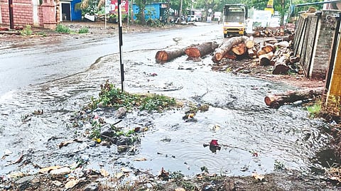 Sangli weather update