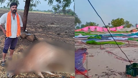 Marathwada Rain