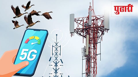 5G Radiation