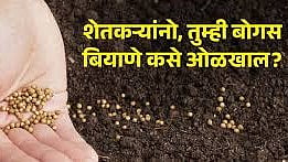 How to identify fake seeds