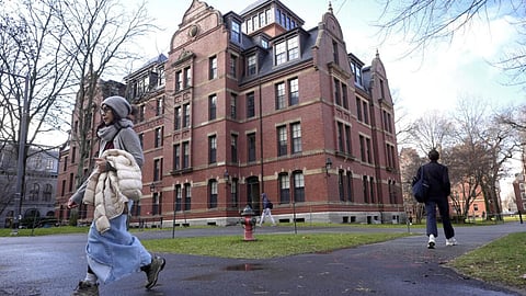Harvard university