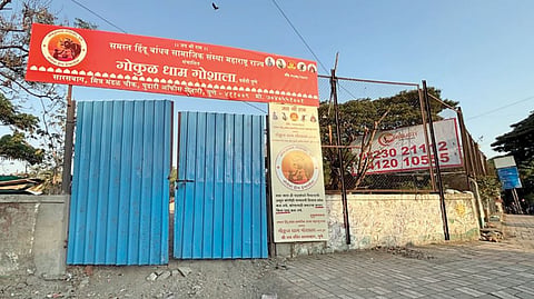 Pune News