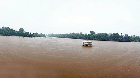 Satara Rain News