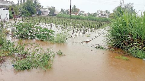 Baramati Rain