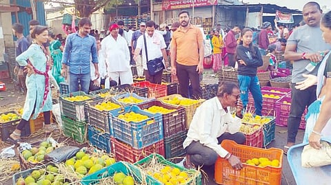Mango Rates