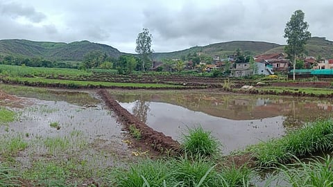 farming work stopped  Heavy Rainfall 