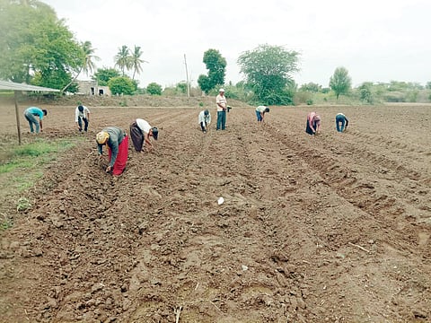 ahilyanagar News