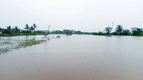 Someshwar Nagar Rain