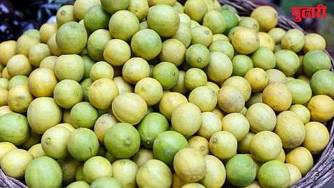lemon 
