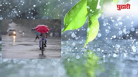 Monsoon Update