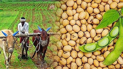 Agricultural  News 