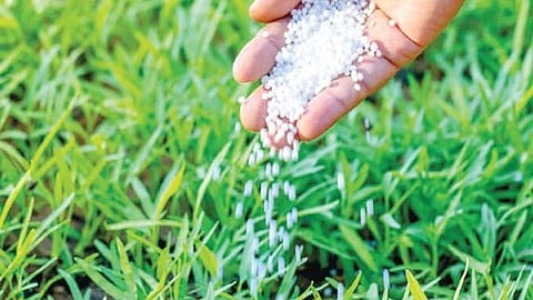 Urea supply