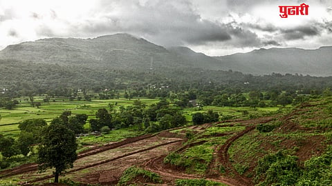 Monsoon Update