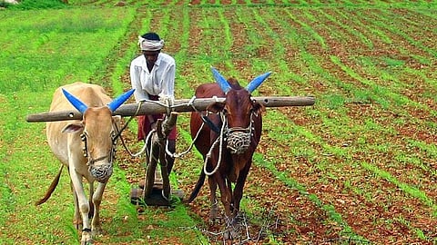 Monsoon News