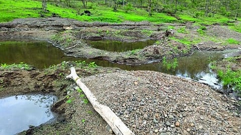 Palghar Crime News