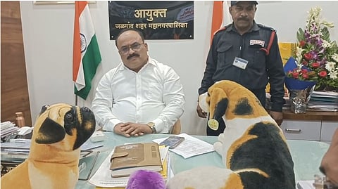 जळगाव