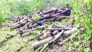 Housing Project Controversy Goa