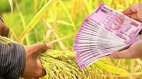 Jalna Crop Loan