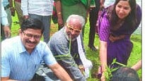 Palghar Bamboo Farming