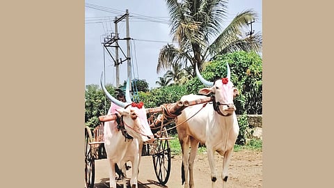 Bendur festival Karnataka