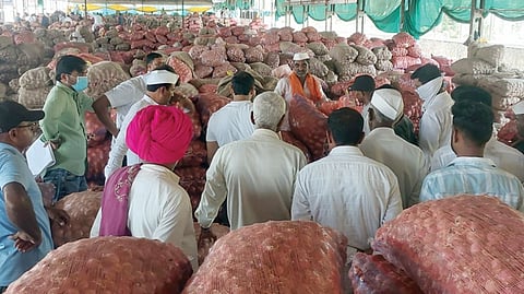 Onion Price