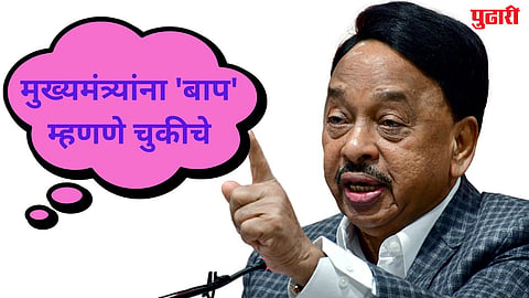 Narayan Rane