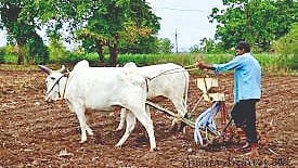 Ahilyanagar News |