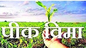 Dharashiv Crop Insurance