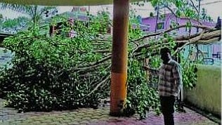Jalna Rain News : जिल्ह्यात वादळी वाऱ्यासह पाऊस