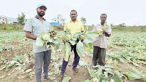 Narayangaon
