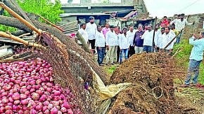 Beed News