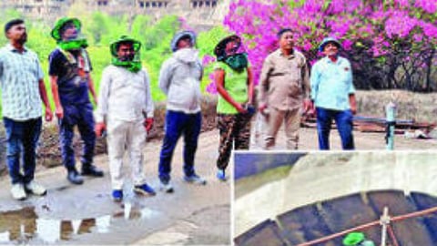 Ajanta Caves News