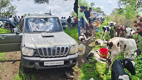 Paranda cow slaughter racket 