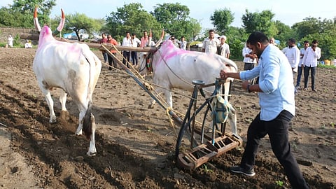 Beed News 