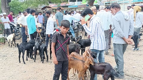 Parbhani News