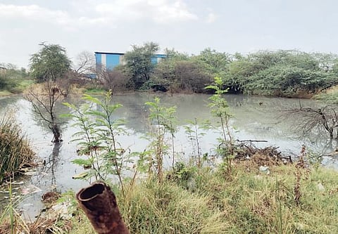 Toxic Water