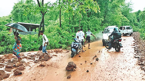 Ratnagiri News
