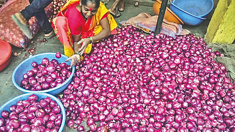 Onion News Nashik  