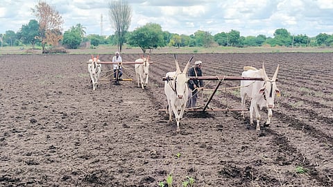 Ahilyanagar news