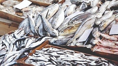 Goa Fish Market Rates 