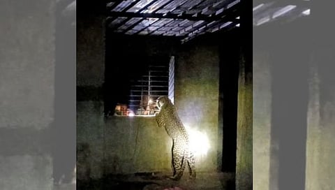 विंचुरी दळवी  (नाशिक) 
