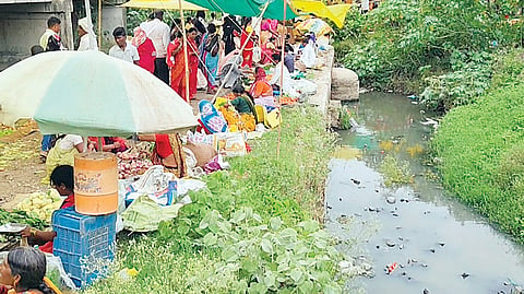 Vegetable Market