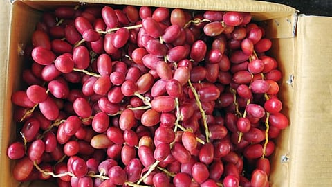 Dates