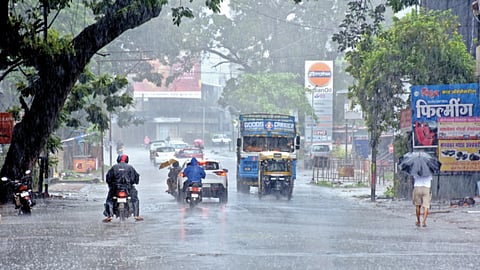 Maharashtra Rain